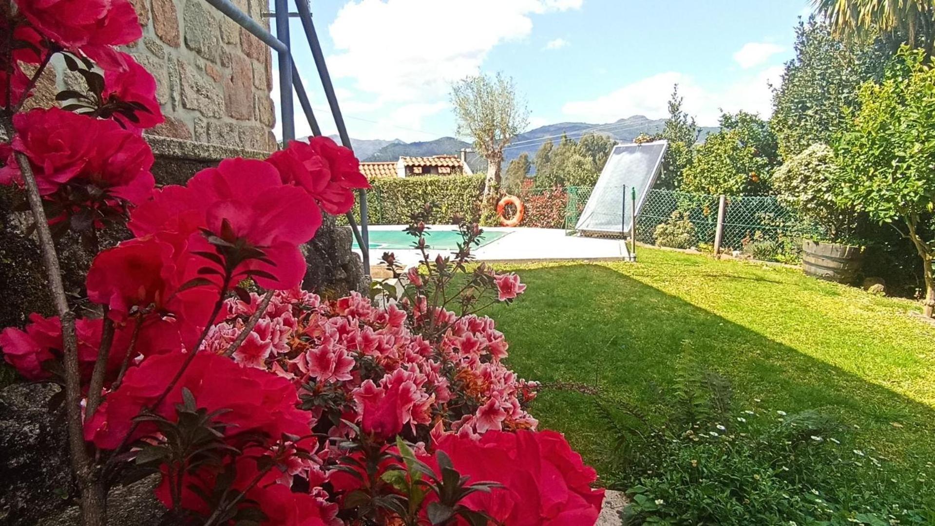 Casa Da Lage - Piscina Privada - Geres Eksteriør billede